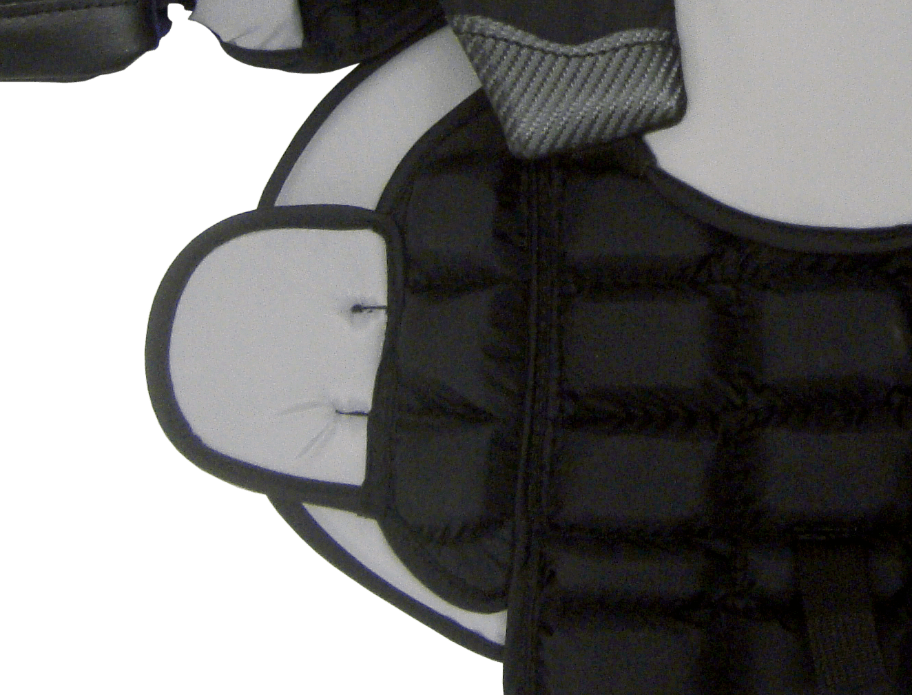 Close up rib protection from the front-side