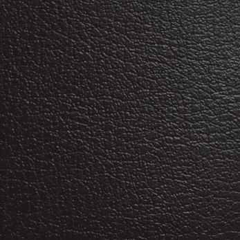 Black Leather