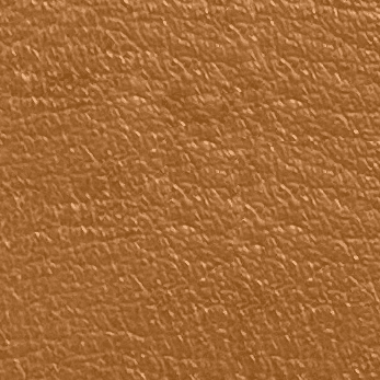 Bronze Leather