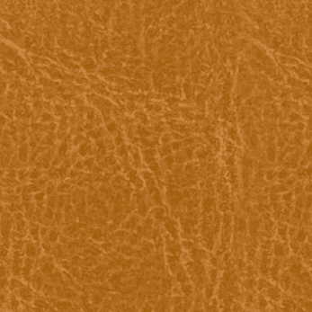 Tan Leather