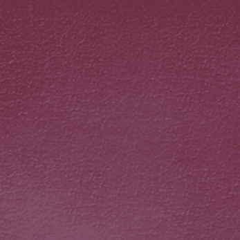 Eggplant Leather