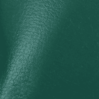 Forest Green Leather