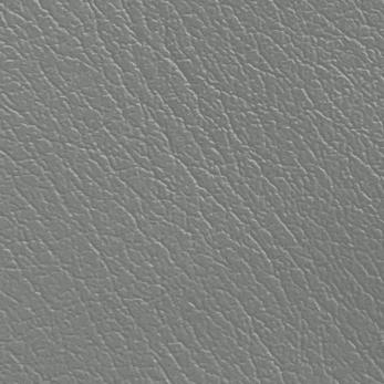 Gray Leather
