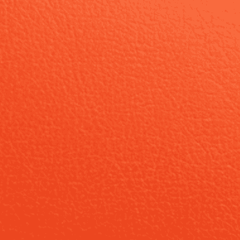 Orange Leather
