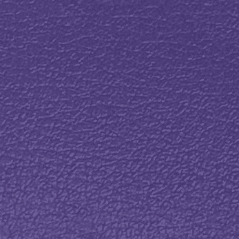 Purple Leather