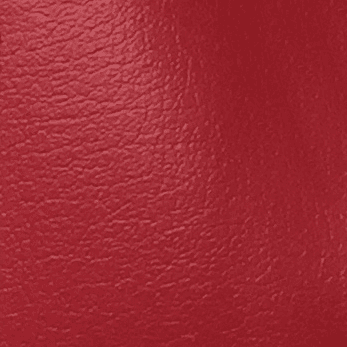Red Leather