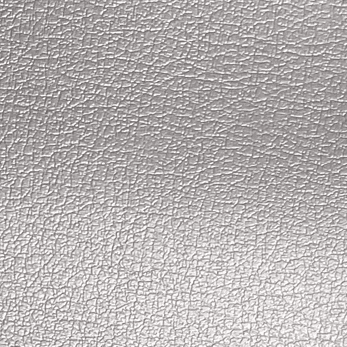 Silver Leather