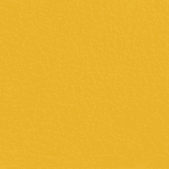 Sport Gold Leather