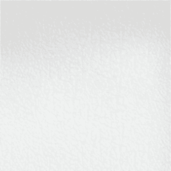 White Leather
