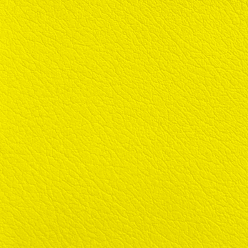 Yellow Leather