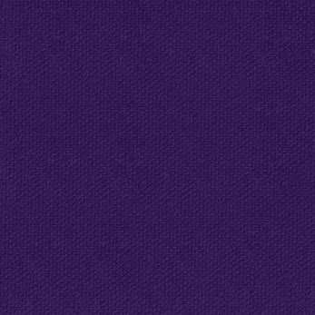 Purple Nylon
