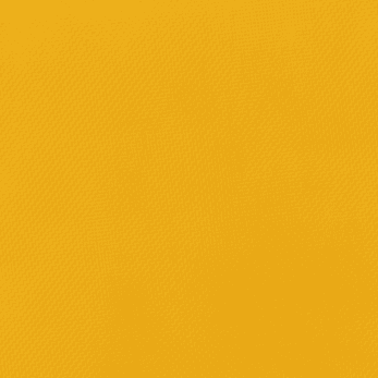 Sport Gold Nylon