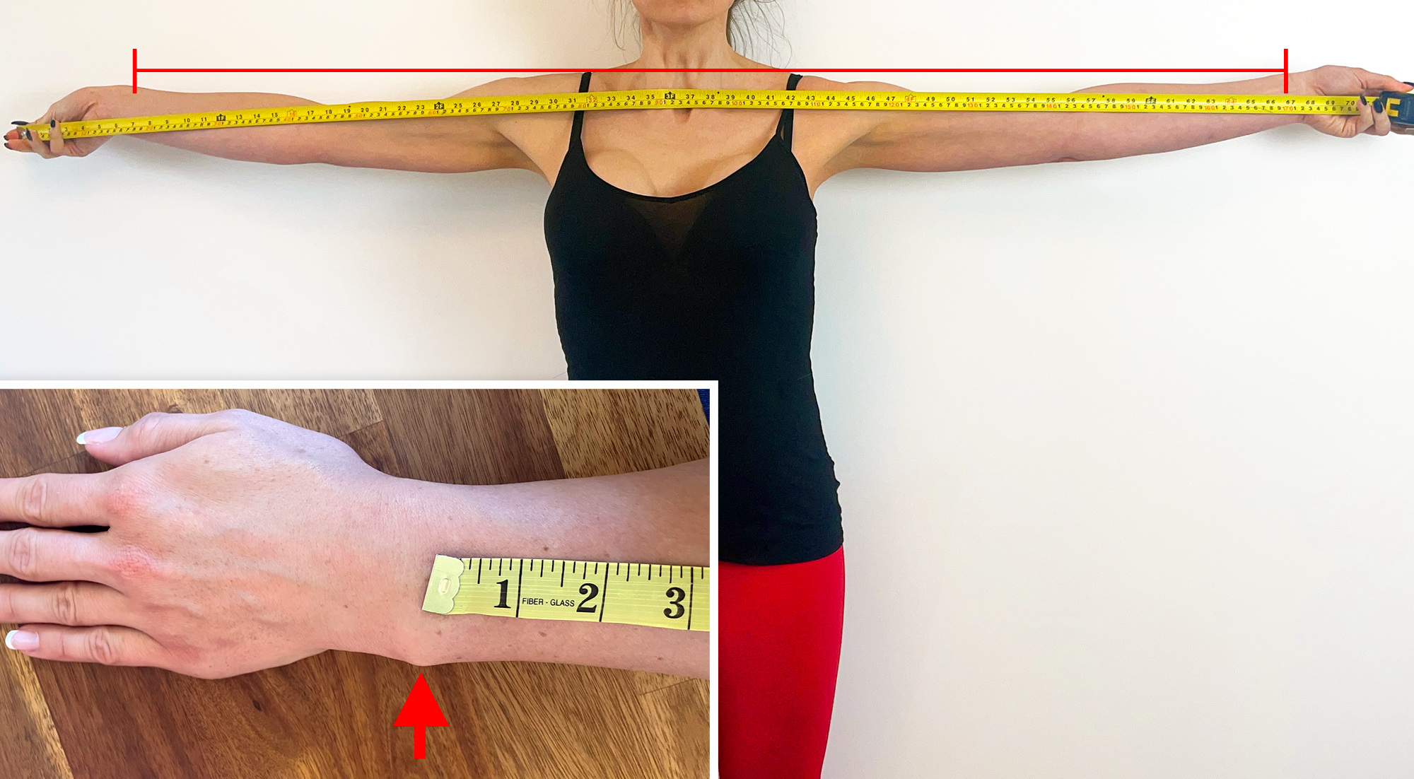 Wingspan measurement and wristbone location